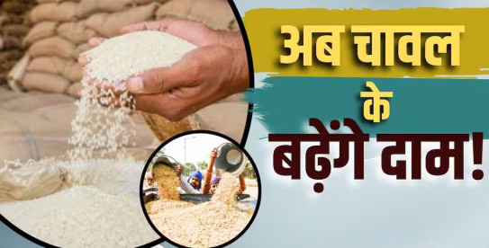 सिर्फ़ ₹100 में 1 किलो... दिवाली से पहले चावल की कीमतें बढ़ने वाली हैं!